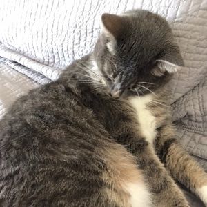 Meet your Posher, Gina